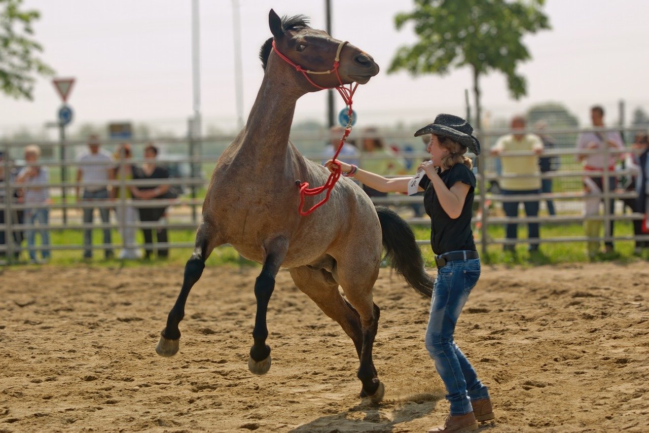 How to Draw a Running Horse: Step-By-Step Guide